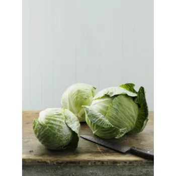 Cabbage (5)-9824593-87876.webp